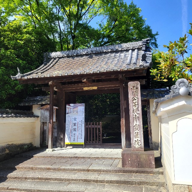 f:id:atoriatoriatori:20240512185637j:image