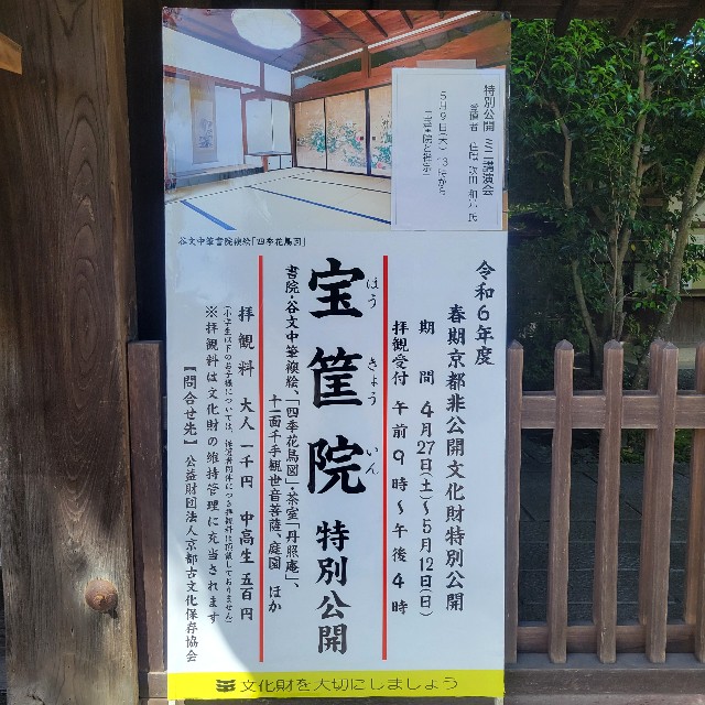 f:id:atoriatoriatori:20240512185644j:image
