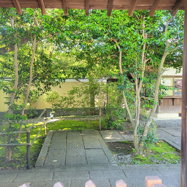 f:id:atoriatoriatori:20240512185920j:image