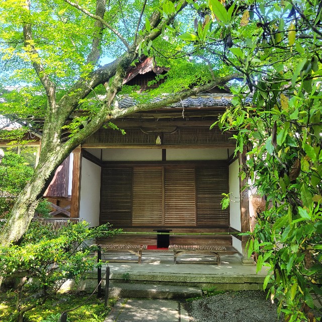 f:id:atoriatoriatori:20240512190346j:image
