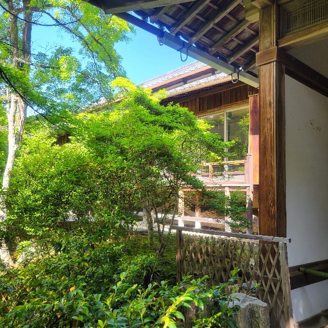 f:id:atoriatoriatori:20240512190354j:image