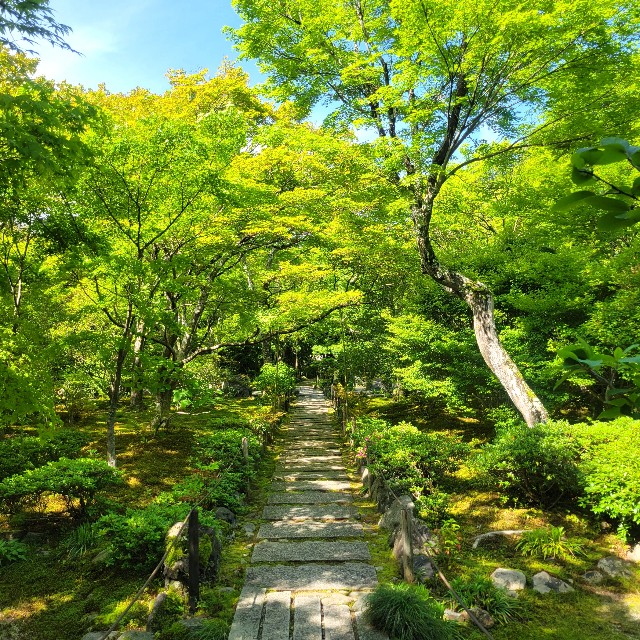 f:id:atoriatoriatori:20240513082624j:image