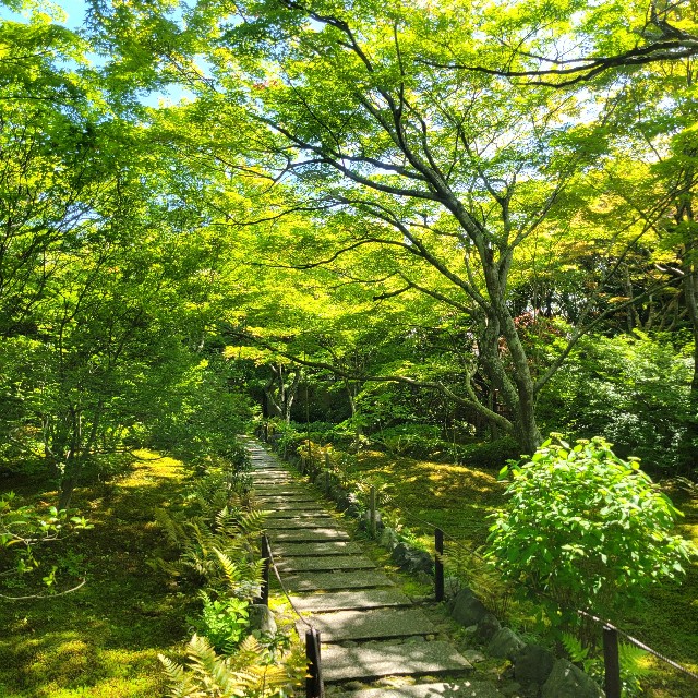 f:id:atoriatoriatori:20240513083014j:image