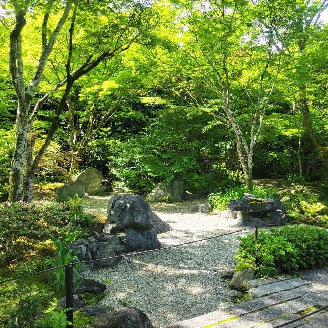 f:id:atoriatoriatori:20240513091826j:image