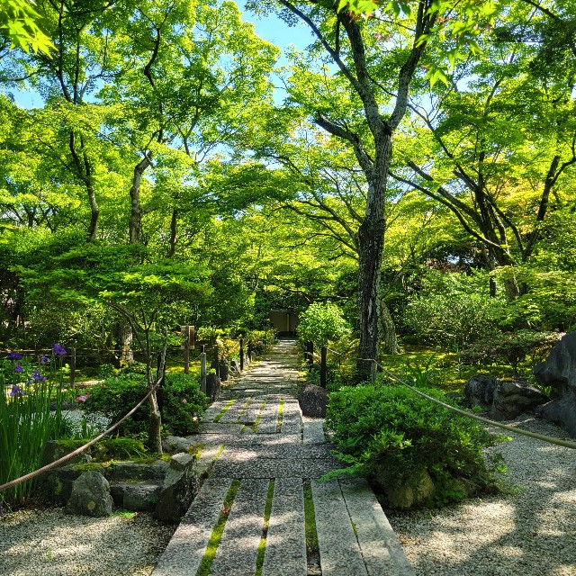 f:id:atoriatoriatori:20240513091838j:image