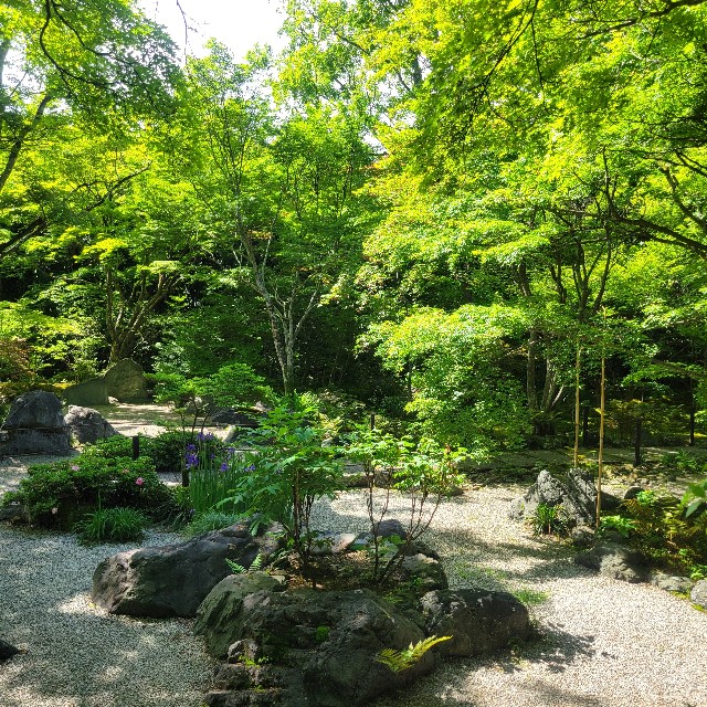f:id:atoriatoriatori:20240513091845j:image
