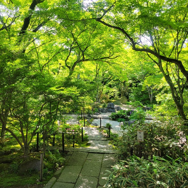 f:id:atoriatoriatori:20240513091852j:image