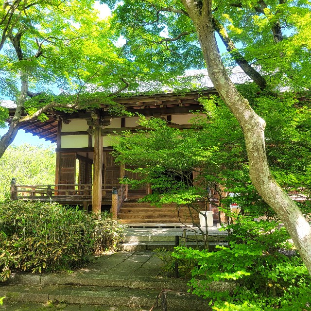 f:id:atoriatoriatori:20240513093549j:image