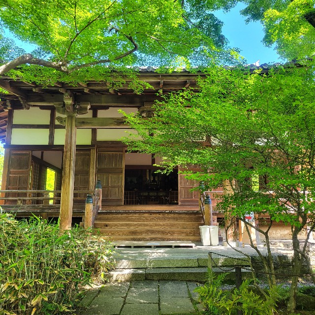 f:id:atoriatoriatori:20240513093605j:image