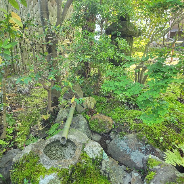f:id:atoriatoriatori:20240513094257j:image