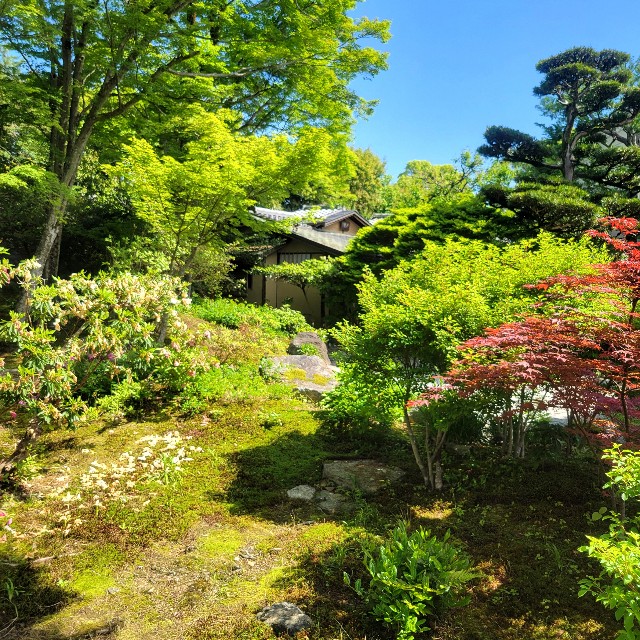 f:id:atoriatoriatori:20240513094303j:image