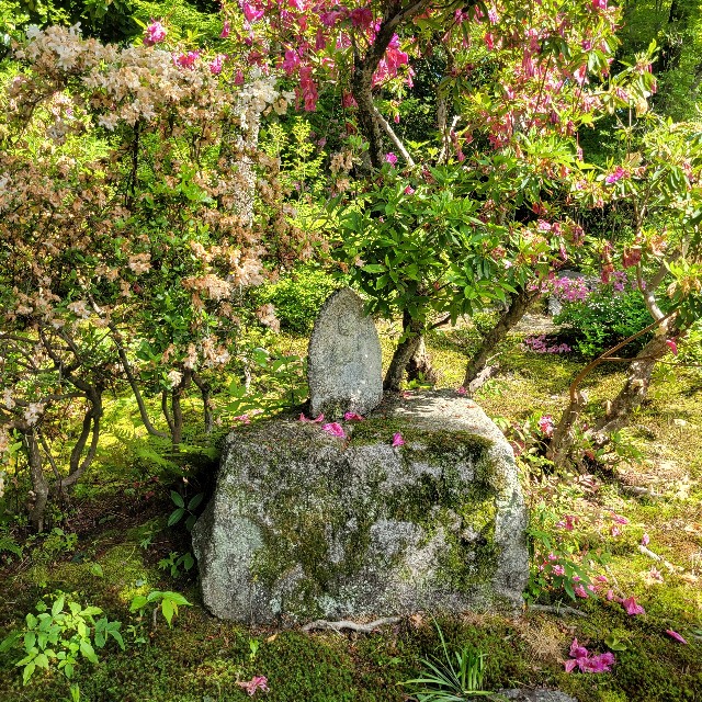 f:id:atoriatoriatori:20240513094311j:image