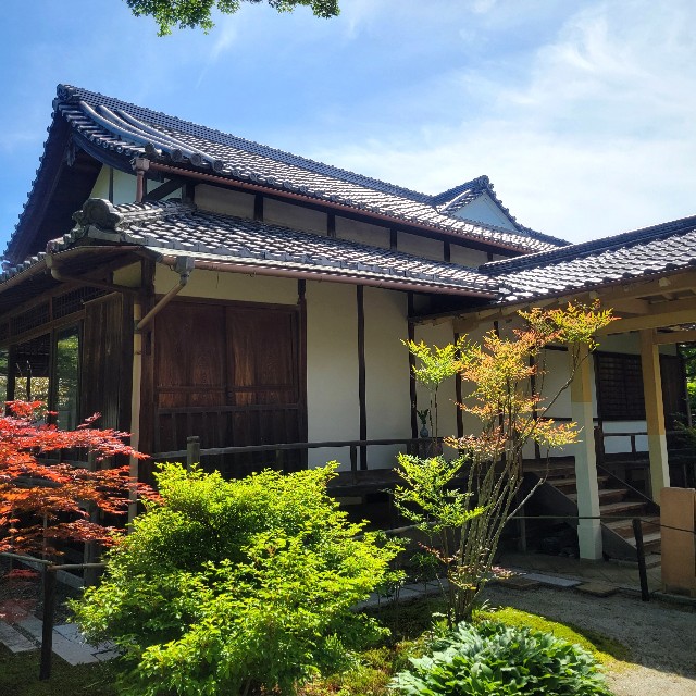 f:id:atoriatoriatori:20240513094633j:image