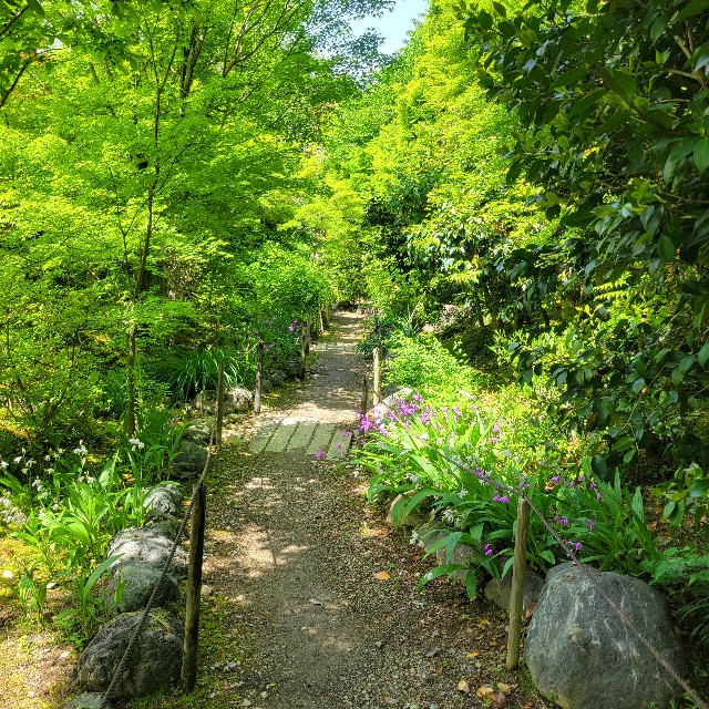 f:id:atoriatoriatori:20240513102702j:image