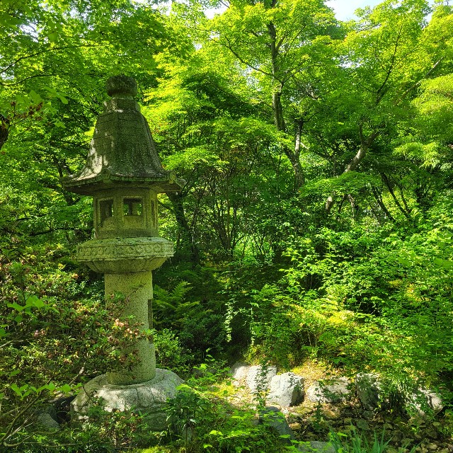 f:id:atoriatoriatori:20240513102710j:image