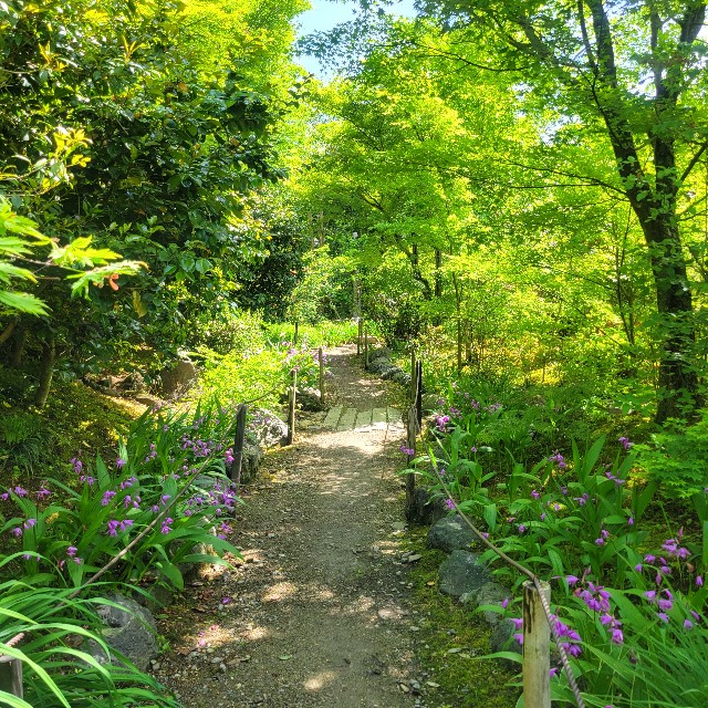 f:id:atoriatoriatori:20240513102717j:image