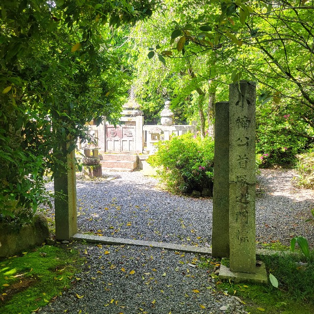 f:id:atoriatoriatori:20240513102724j:image