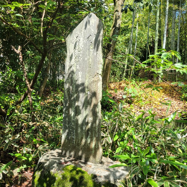 f:id:atoriatoriatori:20240513103553j:image