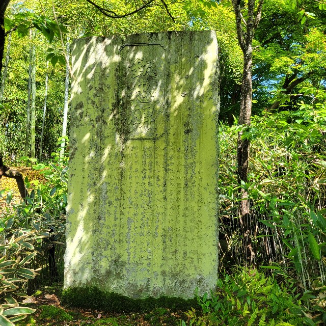 f:id:atoriatoriatori:20240513103600j:image