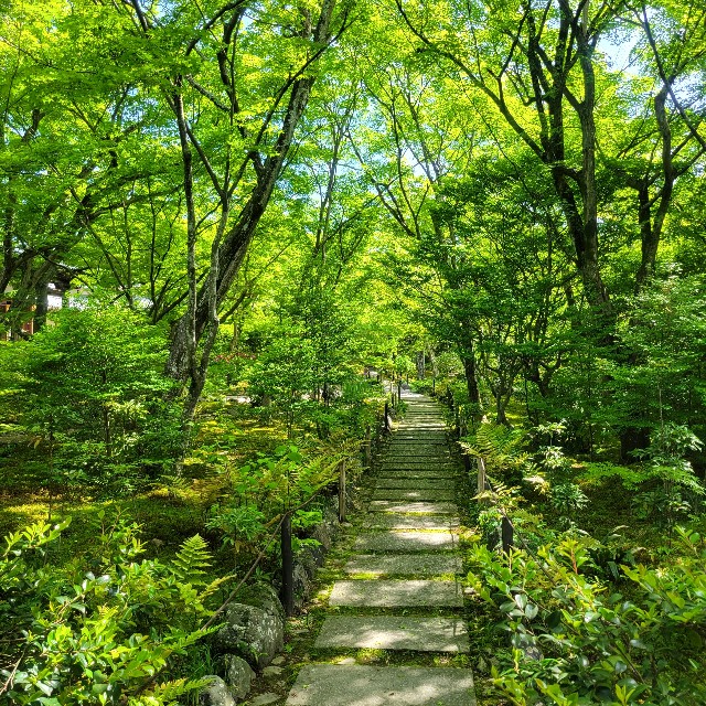 f:id:atoriatoriatori:20240513110533j:image