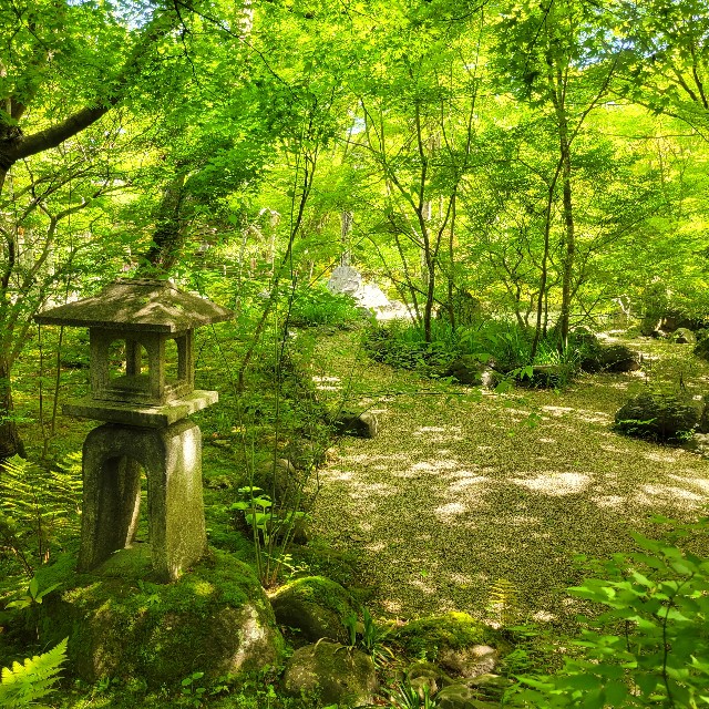 f:id:atoriatoriatori:20240513110550j:image
