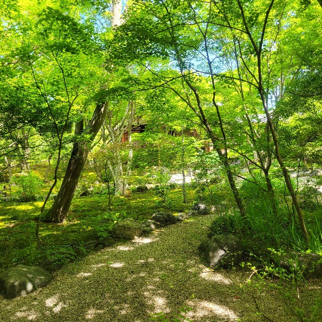 f:id:atoriatoriatori:20240513110557j:image