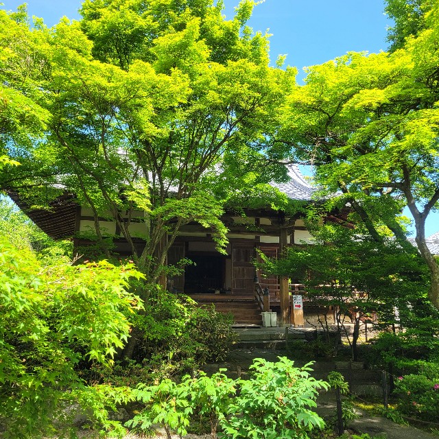 f:id:atoriatoriatori:20240513110621j:image