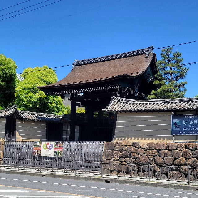 f:id:atoriatoriatori:20240521111121j:image