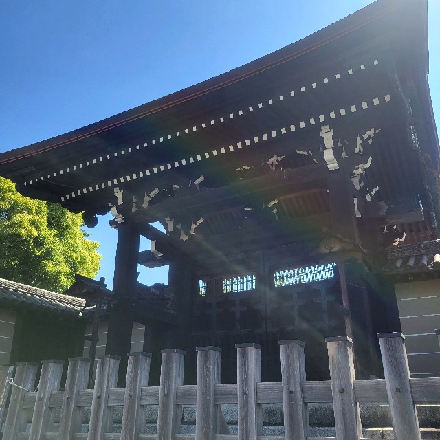 f:id:atoriatoriatori:20240521111127j:image