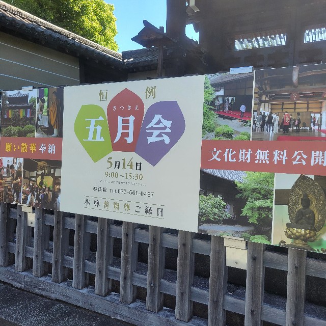 f:id:atoriatoriatori:20240521111133j:image