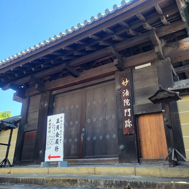 f:id:atoriatoriatori:20240521111613j:image