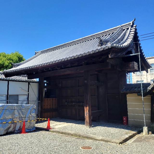 f:id:atoriatoriatori:20240521211057j:image