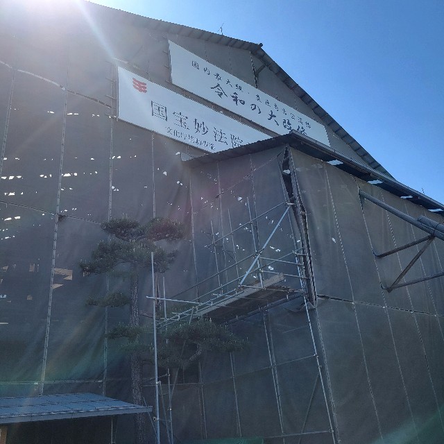 f:id:atoriatoriatori:20240521211133j:image