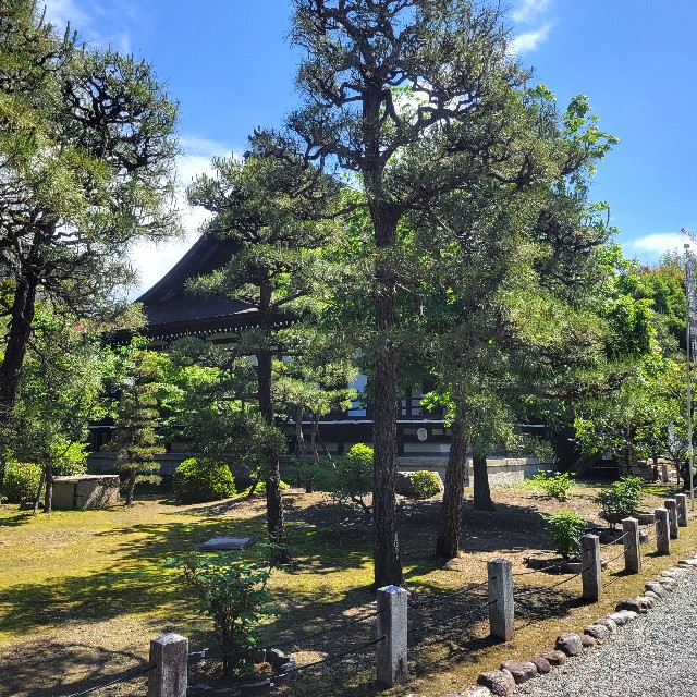 f:id:atoriatoriatori:20240522082216j:image