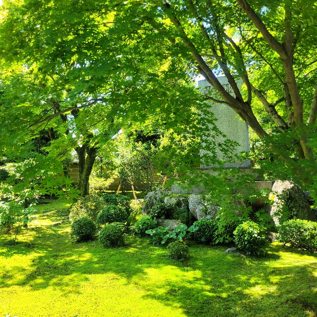 f:id:atoriatoriatori:20240522082237j:image