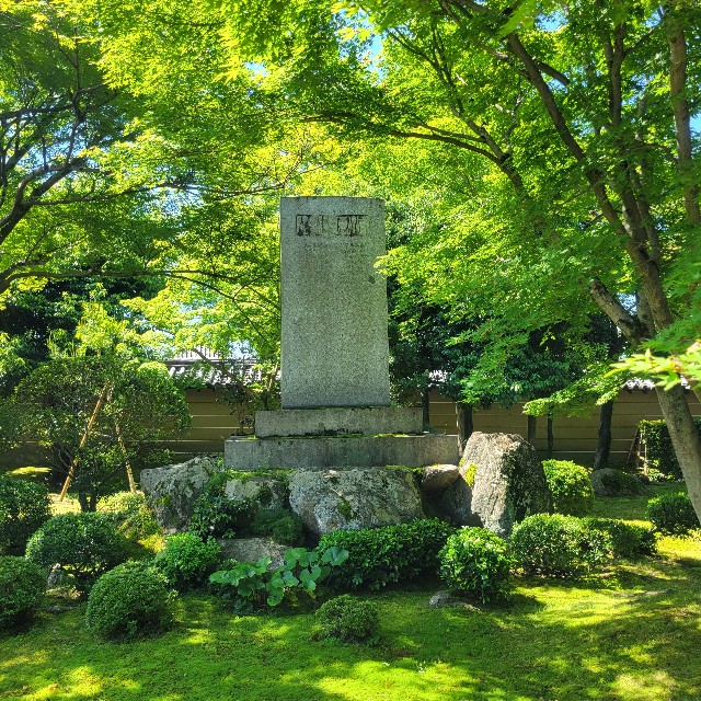 f:id:atoriatoriatori:20240522082244j:image