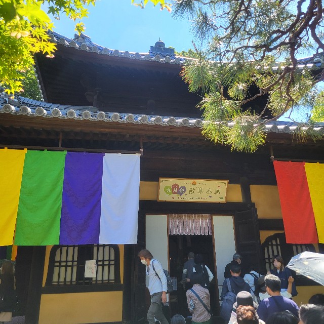 f:id:atoriatoriatori:20240522084952j:image