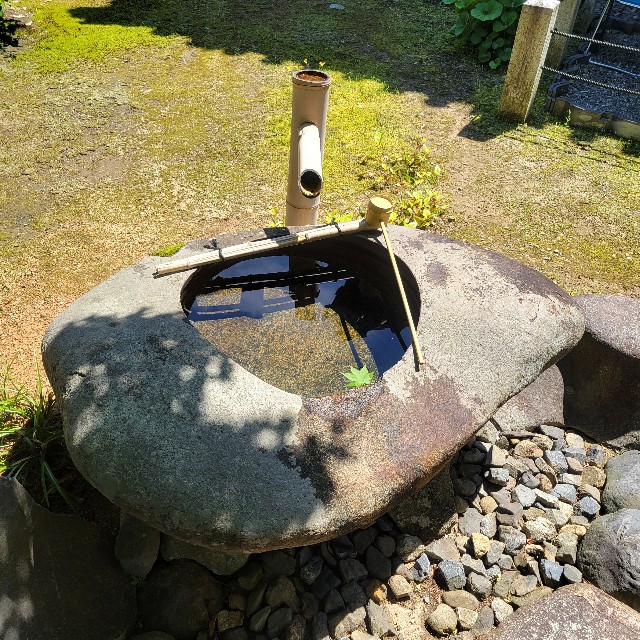 f:id:atoriatoriatori:20240522090650j:image