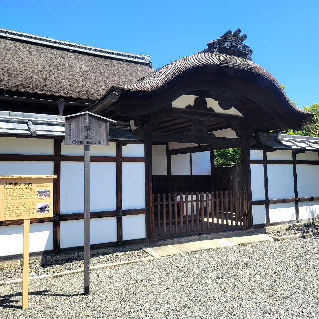 f:id:atoriatoriatori:20240522114402j:image