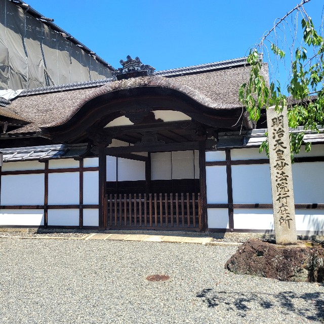 f:id:atoriatoriatori:20240522114410j:image