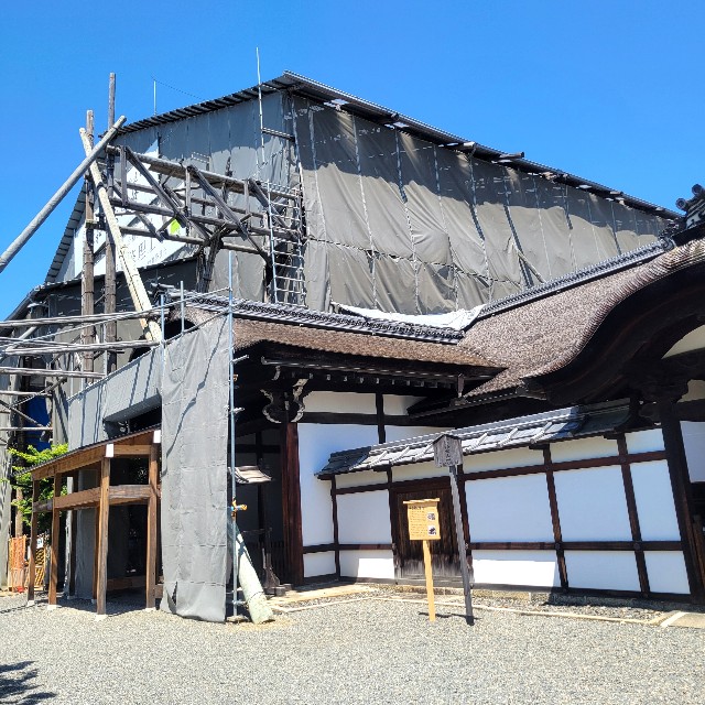 f:id:atoriatoriatori:20240522114417j:image