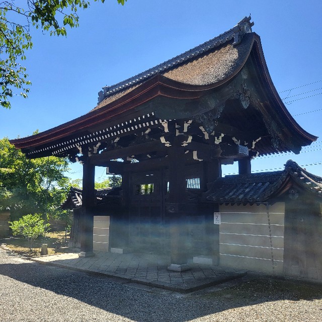 f:id:atoriatoriatori:20240522114441j:image