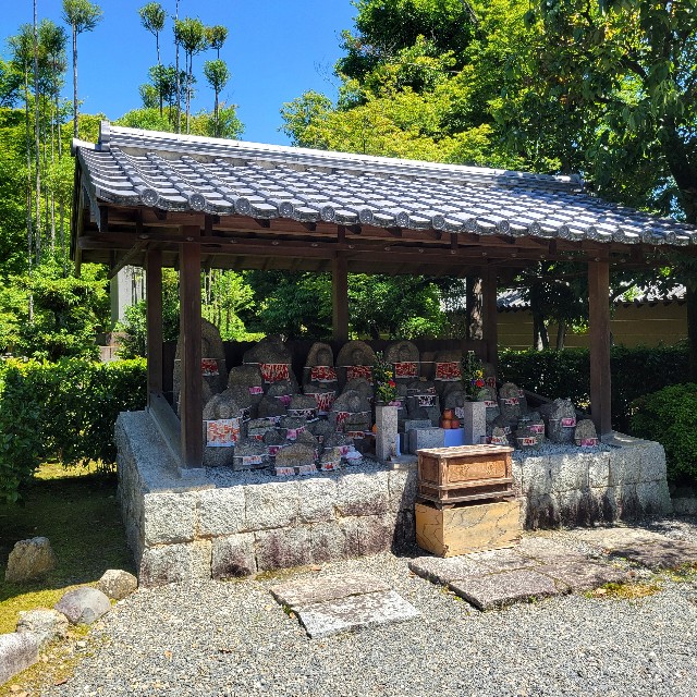 f:id:atoriatoriatori:20240522114454j:image