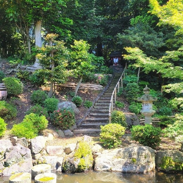 f:id:atoriatoriatori:20240522123811j:image