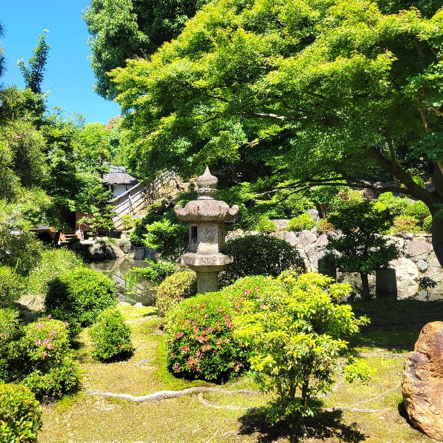 f:id:atoriatoriatori:20240522123818j:image