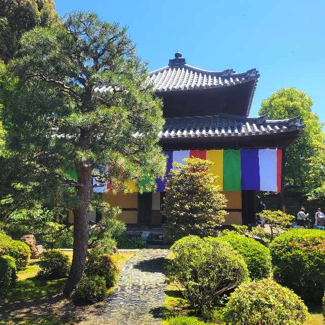 f:id:atoriatoriatori:20240522123824j:image