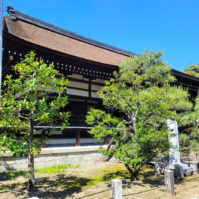 f:id:atoriatoriatori:20240522124204j:image