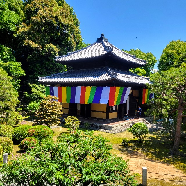 f:id:atoriatoriatori:20240522124336j:image