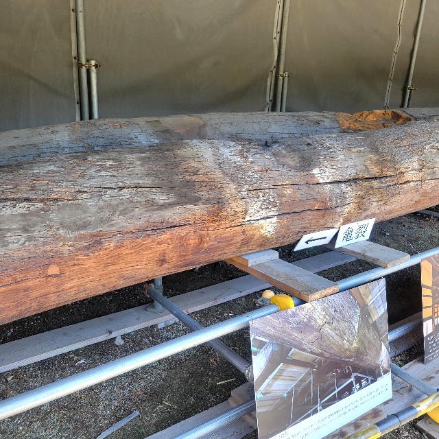 f:id:atoriatoriatori:20240522210306j:image