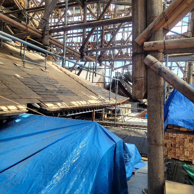 f:id:atoriatoriatori:20240522221356j:image